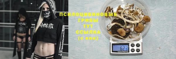 трава Снежинск