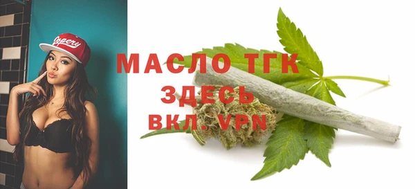 mix Снежногорск