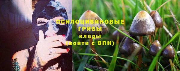 дживик Семёнов