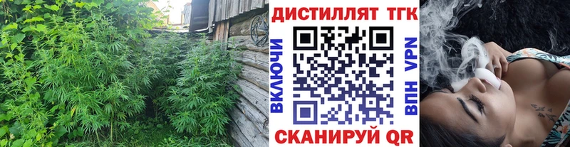Купить закладки  Звенигово  Дистиллят ТГК концентрат 